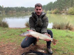 Northern Pike