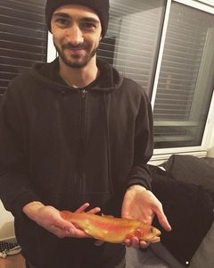 Rainbow Trout