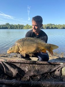Mirror Carp