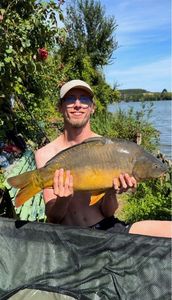 Leather Carp