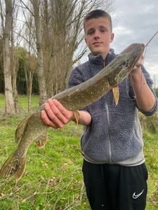 Northern Pike