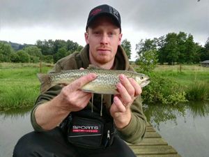 Brown Trout
