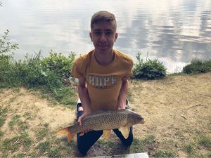 Common Carp