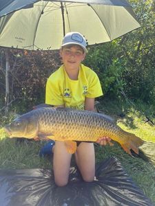 Common Carp