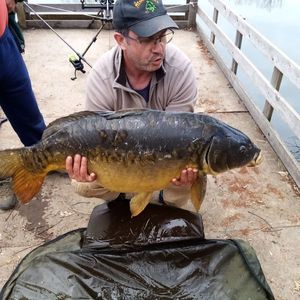 Mirror Carp