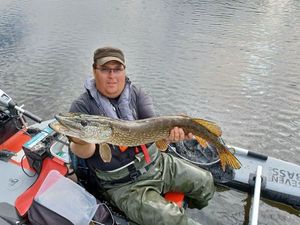 Northern Pike