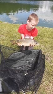 Mirror Carp