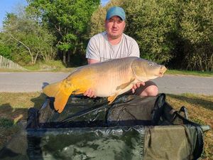 Mirror Carp