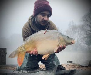 Mirror Carp