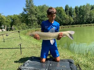 Grass Carp