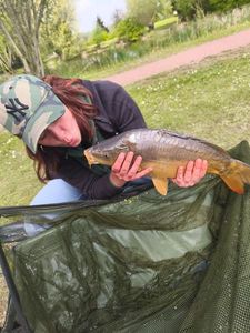 Mirror Carp
