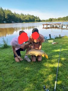 Mirror Carp