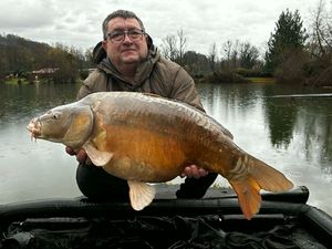 Mirror Carp