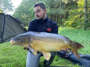 Mirror Carp
