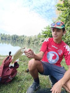 Largemouth Bass