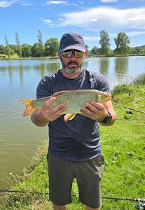 Grass Carp