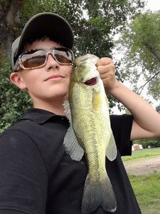 Largemouth Bass