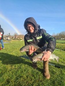 Rainbow Trout