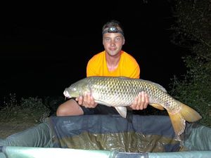 Common Carp