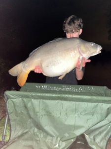 Mirror Carp