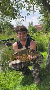Common Carp