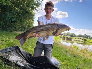 Common Carp