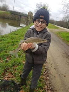 Zander