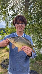Mirror Carp