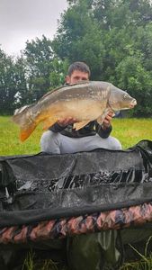 Leather Carp