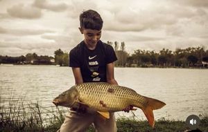Common Carp