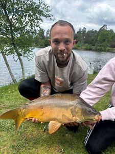 Mirror Carp