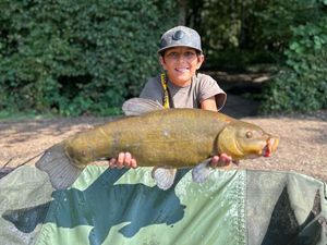 Tench