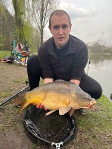 Mirror Carp