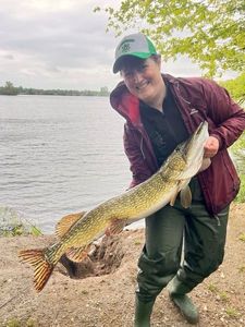 Northern Pike