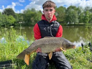 Common Carp