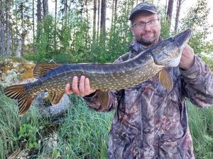 Northern Pike