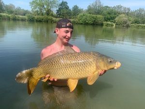Common Carp