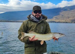 Northern Pike