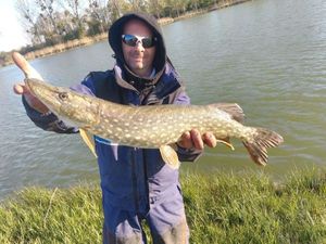 Northern Pike