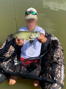 Smallmouth Bass