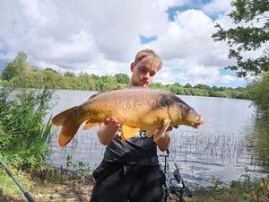 Common Carp