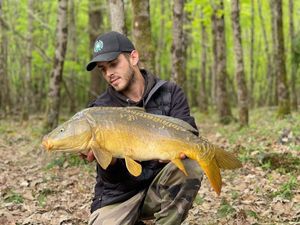 Mirror Carp