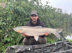 Grass Carp