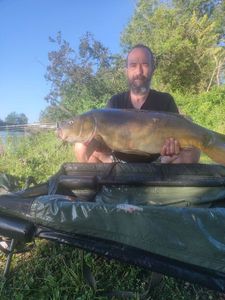 Mirror Carp