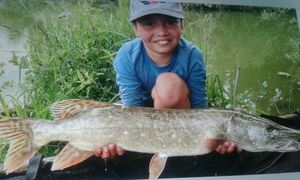 Northern Pike