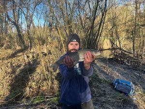 Chub