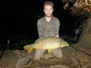 Common Carp
