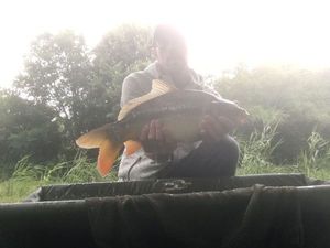 Mirror Carp