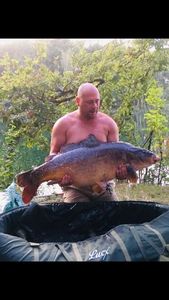 Mirror Carp