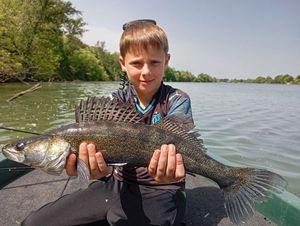 Zander